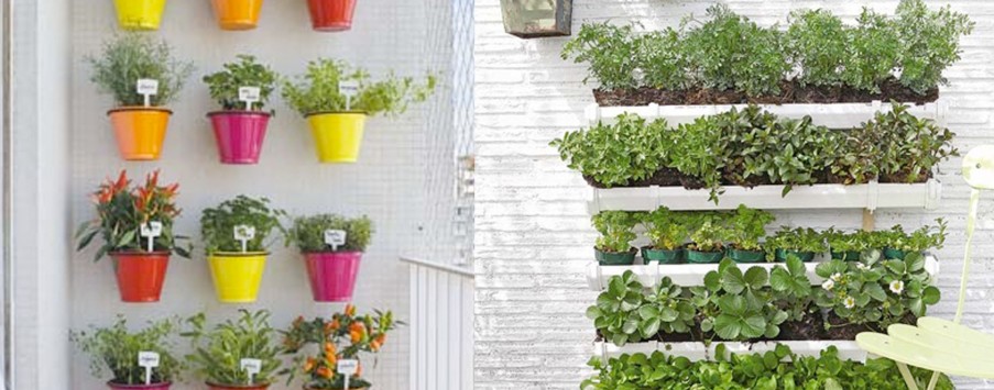 Cultivo em casa